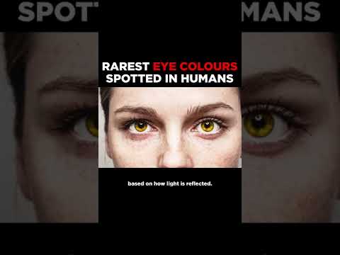 Rarest Eye Colours Spotted in Humans - Amber Eyes #shorts