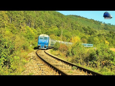 GM 64-1264-2 & Trenul "Harghita" Train in Defileul Crisului Repede Canyon [Autumn Edition]