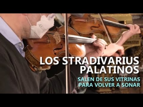 Su Majestad la Reina Doña Sofía preside el concierto benéfico \