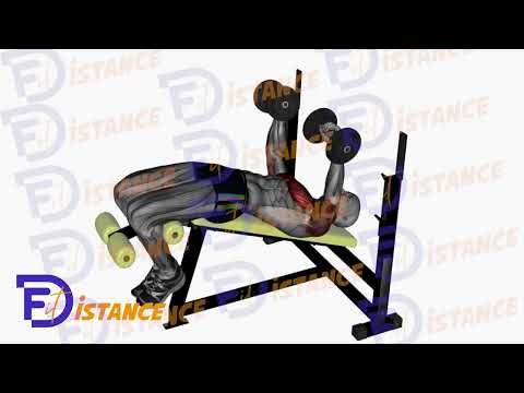Développé couché décliné avec haltères - Exercice Développé couché décliné avec haltères en vidéo