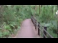 Zama Park Japan