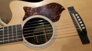 Video thumbnail for Martin GPCPA5K Needs HUMIDITY by Lucas Welsh Music