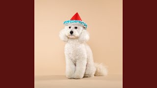 Mookies Last Christmas (Acoustic 2020)