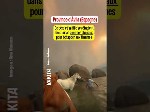Ce père et sa fille se réfugient dans un lac avec ses chevaux pour échapper aux flammes #animaux