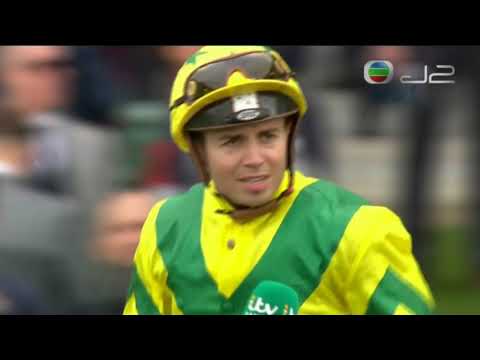 2021 Qipco Champion Stakes G1 - Sealiway (笑來威) - M.Barzalona