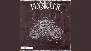 Flykkiller