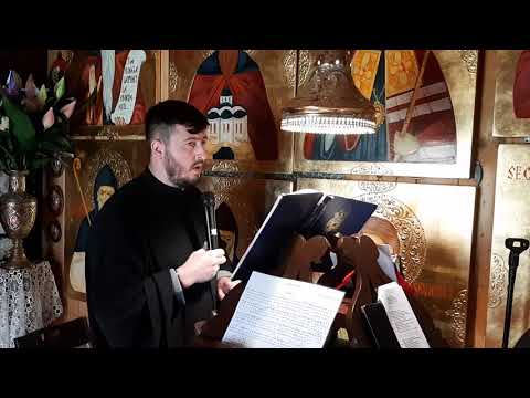 Brațele Părintești -  Zotic Vasilikos