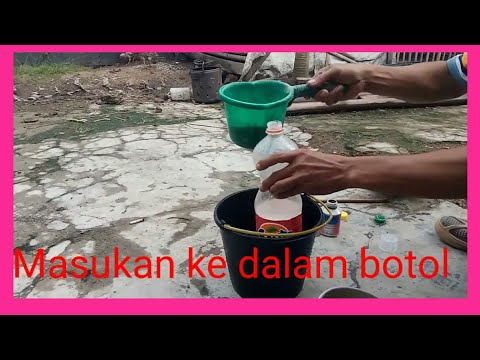 Cara Alami Usir Lalat Di Kandang Ayam, artikel Cara Alami Usir Lalat Di Kandang Ayam gratis, video trending Cara Alami Usir Lalat Di Kandang Ayam