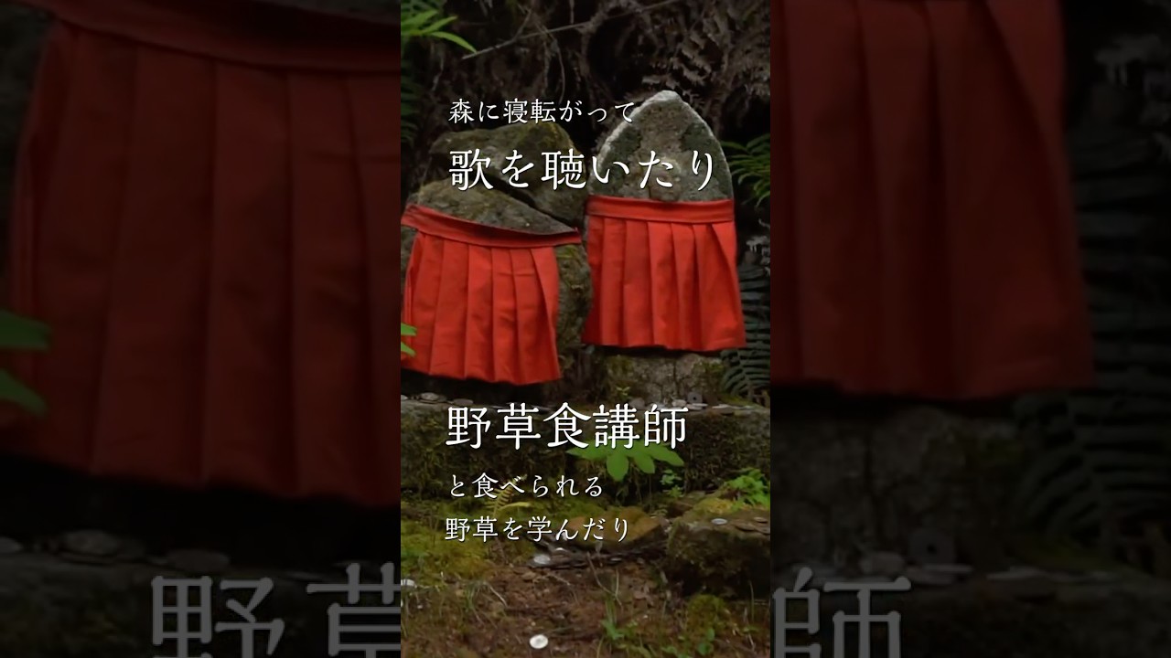 4/18(土)19(日) その土地のエネルギーを身に付ける「熊野古道ウォーク×食べられる野草講座×森に寝転ぶコンサート」