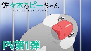 [情報] 佐佐木與文鳥小嗶  PV公開