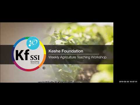 2019 03 20 PM Public Teaching in Romanian - Cursuri publice în română