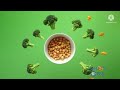 Veggietales Funding Credits 2020