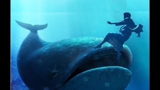 The three days and three nights Sign of Jonah, was this fulfilled by Christ?