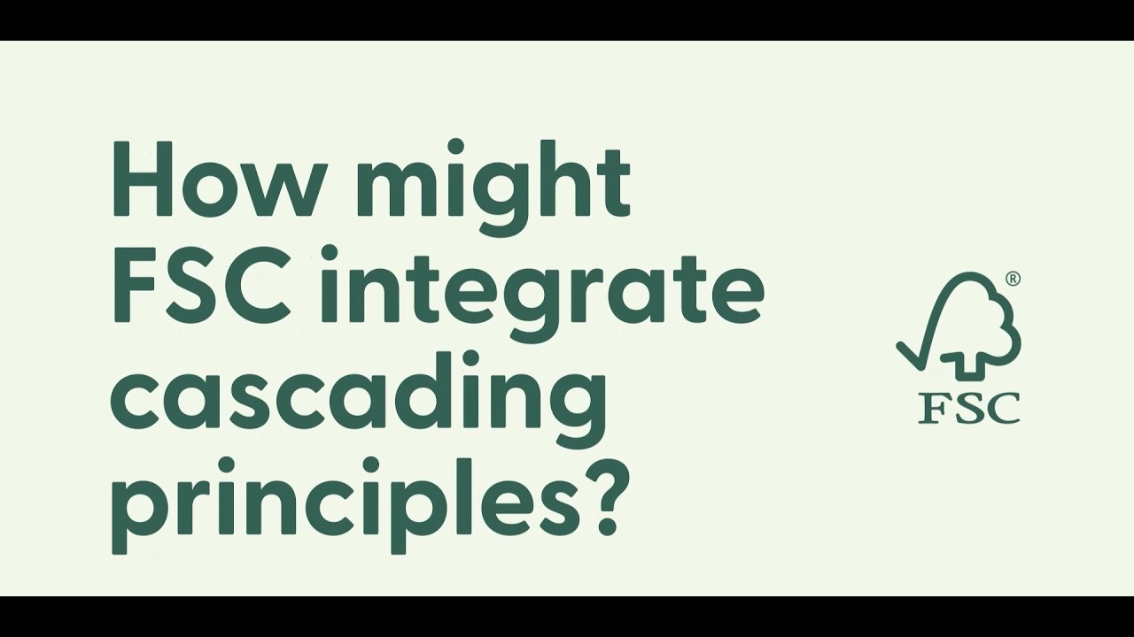 FSC Circularity hub - Tools for Cascading Use of Wood