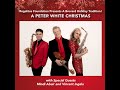 A Peter White Christmas with Vincent Ingala & Mindi Abair - King Center, Melbourne, FL, December 9th