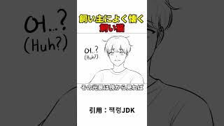 アイスが大好きな猫といかがわしい飼い主 #アニメ #おすすめ