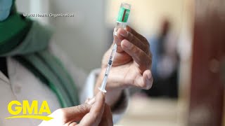 Download the video "WHO chief scientist details worldwide COVID-19 vaccination efforts"