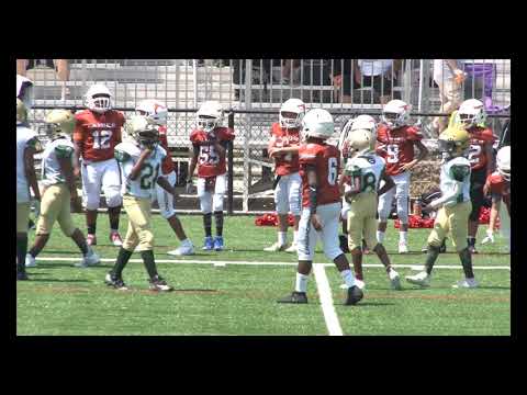 10u Grayson AS (Cook) vs. Lanier NN (Saldana) |8.17.19| Jamboree Private Setting Test