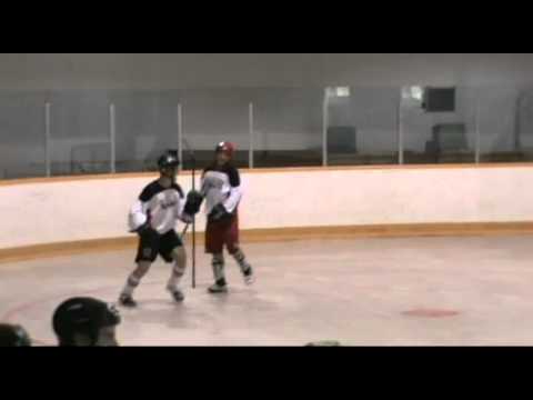 Winnipeg Ball Hockey 2011 - MBHA Summer League