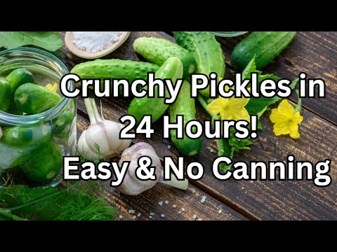 Easy Refrigerator Pickles 🥒 No Canning Needed