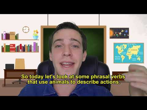Video Sample