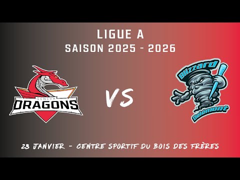 Match Ligue A : Geneva Dragons vs Delémont Blizzard