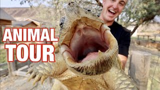 FULL Animal Tour!!!!