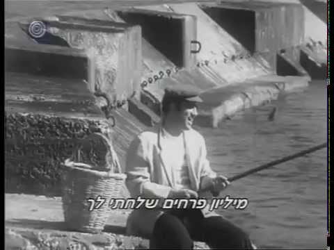 Yehoram Gaon - Rosa              יהורם גאון - רוזה
