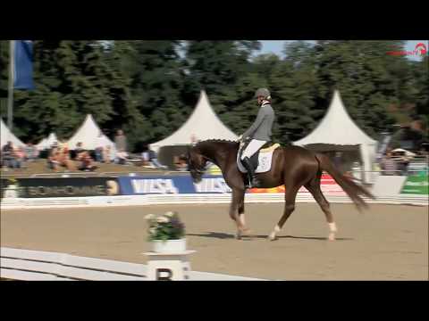 D´Olympus - Hannoveraner Vize-Champion 2019