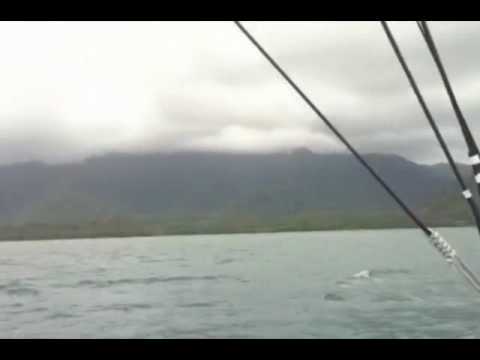 Pegasus-MotionX, Philippe Kahn, Pacific Cup 2010 - Landfall