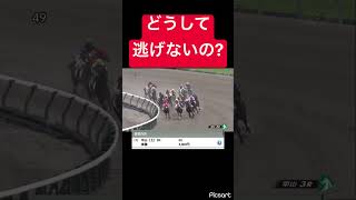 【なぜ逃げない？】前走逃げたから買ったんですけど… #競馬