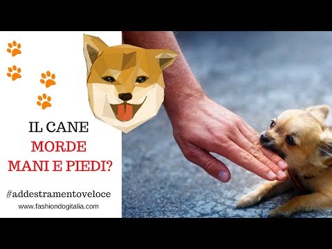 Aglio da risposte di vermi Testa di aglio da risposte di parassiti