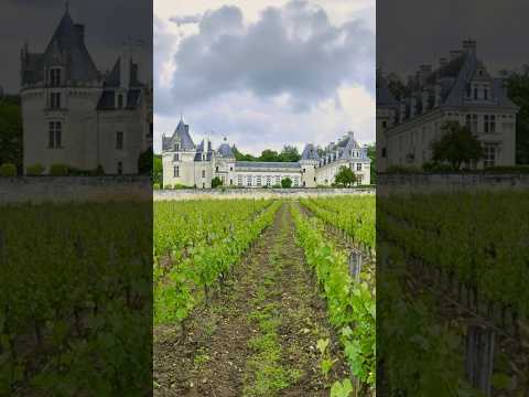 The Castle With a Hidden Doomsday Refuge