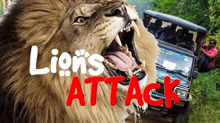preview picture of video 'LION Attack for jeep in Sri Lanka'