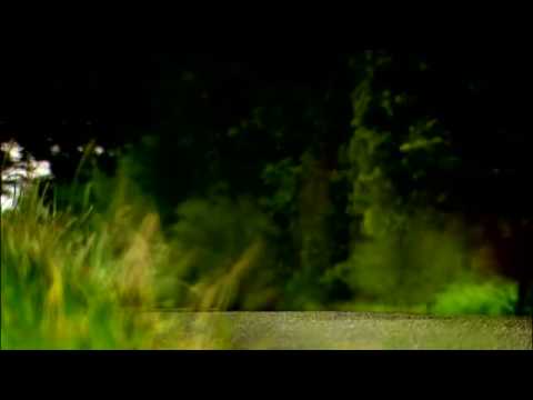 Aston Martin V12 Vantage