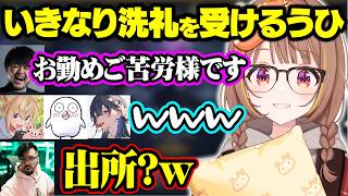 いきなり洗礼を受けたり、最近何をしていたか聞かれそうになるうひ、のせさんの質問に折れるおぼ【ぶいすぽ/切り抜き/一ノ瀬うるは/千燈ゆうひ/k4sen/鈴木ノリアキ/とおこ/おぼ/マ工場】