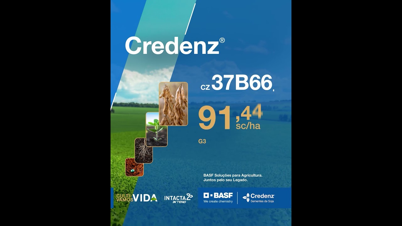 Resultados Credenz® em Goiás: cultivares que se destacam no campo