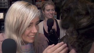 Youngest Dog In The World