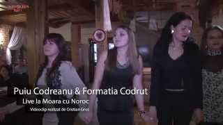 preview picture of video 'Puiu Codreanu & Formatia Codrut-Part 1'