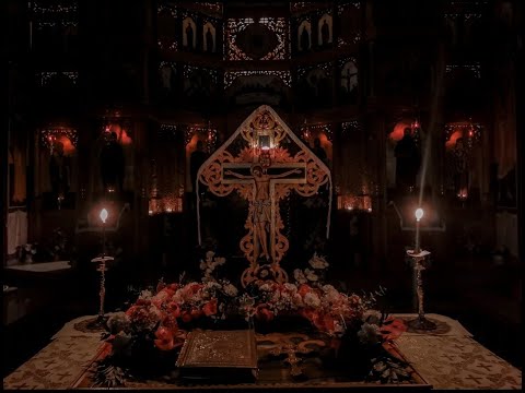 Pr. Ovidiu Bocșan - Sub o salcie înaltă