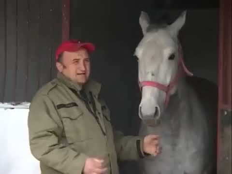 Marko Popović KAZIVANJE 2010-08-09