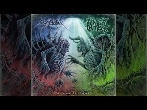 A Night in Texas - The Rotten King (lyric video)