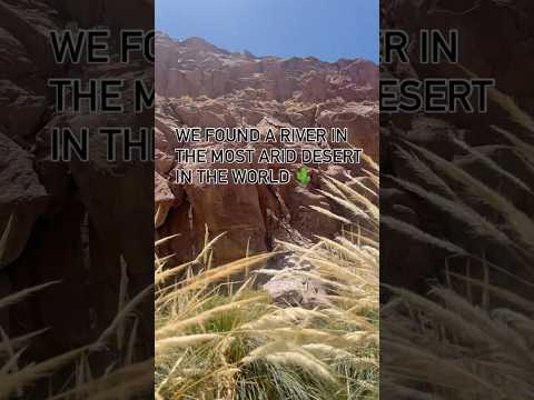 Termas de Puritama : A free gem near San Pedro de Atacama #sanpedrodeatacama #atacamadesert