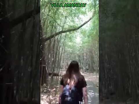 El Camino del Bambú, naturaleza en Villa Amancay. Calamuchita. Córdoba.