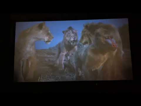 Saw another Trailer of Mufasa: The Lion King in theaters