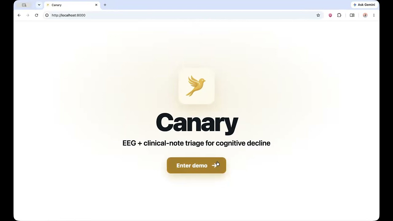 Canary project preview