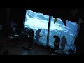 Ernest Shackleton and the Endurance Live