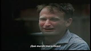 Louis Armstrong - What A Wonderful World (Subtitulado)
