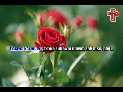 Nkauj ntseeg || txhawb tus ua Vajtswv num || Instrumental