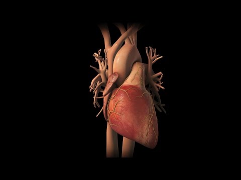 Pourquoi la pression artérielle peut augmenter Les paramètres de mesure de la pression artérielle